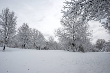 Bulgaristan 'ın Sofya kentindeki South Park' ın şaşırtıcı kış manzarası