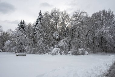 Bulgaristan 'ın Sofya kentindeki South Park' ın şaşırtıcı kış manzarası