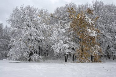 Bulgaristan 'ın Sofya kentindeki South Park' ın şaşırtıcı kış manzarası