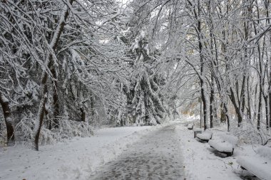 Bulgaristan 'ın Sofya kentindeki South Park' ın şaşırtıcı kış manzarası
