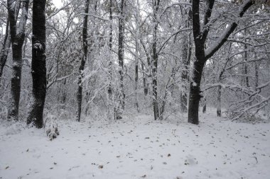 Bulgaristan 'ın Sofya kentindeki South Park' ın şaşırtıcı kış manzarası