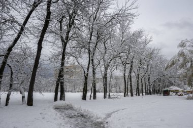Bulgaristan 'ın Sofya kentindeki South Park' ın şaşırtıcı kış manzarası