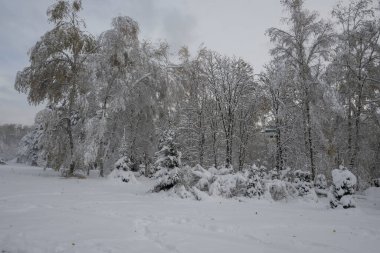 Bulgaristan 'ın Sofya kentindeki South Park' ın şaşırtıcı kış manzarası