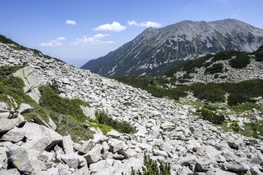 Bulgaristan 'ın Muratov zirvesi etrafındaki Pirin Dağı' nın şaşırtıcı yaz manzarası