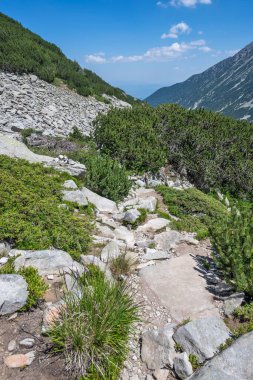 Bulgaristan 'ın Muratov zirvesi etrafındaki Pirin Dağı' nın şaşırtıcı yaz manzarası