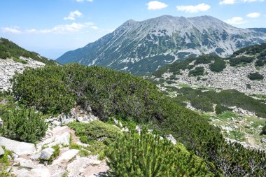 Bulgaristan 'ın Muratov zirvesi etrafındaki Pirin Dağı' nın şaşırtıcı yaz manzarası