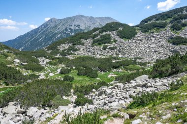 Bulgaristan 'ın Muratov zirvesi etrafındaki Pirin Dağı' nın şaşırtıcı yaz manzarası