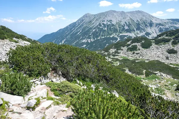 Bulgaristan 'ın Muratov zirvesi etrafındaki Pirin Dağı' nın şaşırtıcı yaz manzarası
