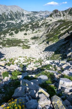 Bulgaristan 'ın Muratov zirvesi etrafındaki Pirin Dağı' nın şaşırtıcı yaz manzarası