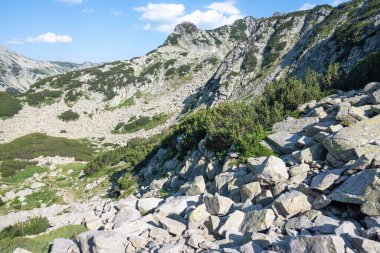 Amazing Summer view of Pirin Mountain around Muratov peak, Bulgaria clipart