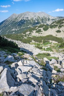 Bulgaristan 'ın Muratov zirvesi etrafındaki Pirin Dağı' nın şaşırtıcı yaz manzarası