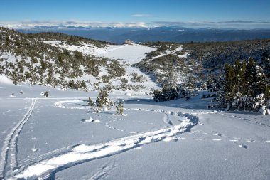 Bulgaristan 'ın Polezhan ve Bezbog Tepeleri yakınlarındaki Pirin Dağı' nın muhteşem kış manzarası