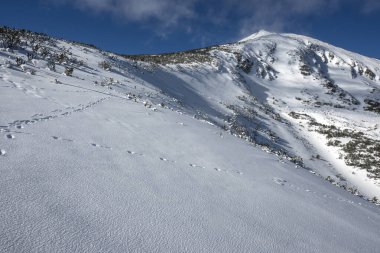 Amazing Winter view of Pirin Mountain near Polezhan and Bezbog Peaks, Bulgaria clipart