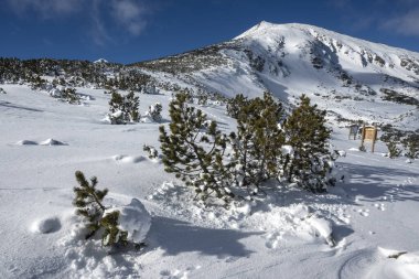 Bulgaristan 'ın Polezhan ve Bezbog Tepeleri yakınlarındaki Pirin Dağı' nın muhteşem kış manzarası