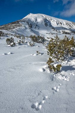 Bulgaristan 'ın Polezhan ve Bezbog Tepeleri yakınlarındaki Pirin Dağı' nın muhteşem kış manzarası