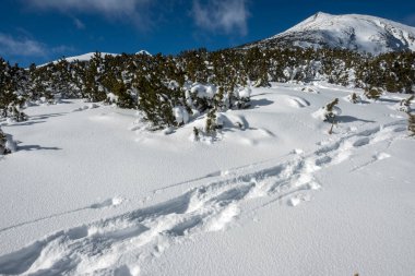 Bulgaristan 'ın Polezhan ve Bezbog Tepeleri yakınlarındaki Pirin Dağı' nın muhteşem kış manzarası