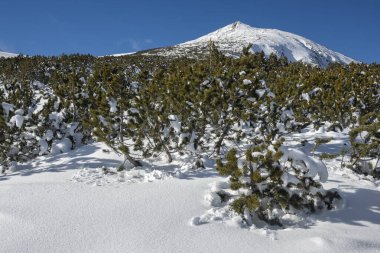 Bulgaristan 'ın Polezhan ve Bezbog Tepeleri yakınlarındaki Pirin Dağı' nın muhteşem kış manzarası