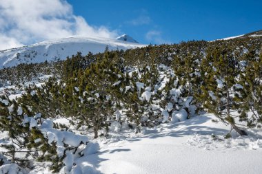 Bulgaristan 'ın Polezhan ve Bezbog Tepeleri yakınlarındaki Pirin Dağı' nın muhteşem kış manzarası