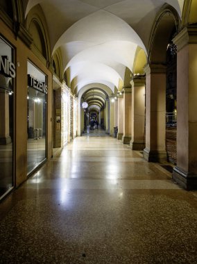 BOLOGNA, İTALYA - 04 Aralık 2024: Bologna, Emilia-Romagna Bölgesi, İtalya 'nın Eski Kasabası' nın Gece Panoraması