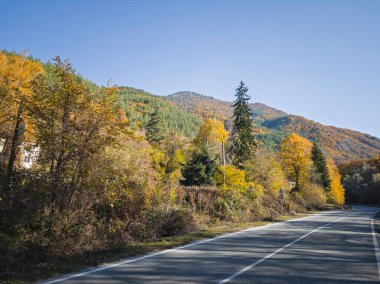harika sonbahar manzarası, rila dağı, bulgaria