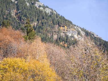 harika sonbahar manzarası, rila dağı, bulgaria