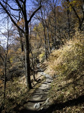 harika sonbahar manzarası, rila dağı, bulgaria