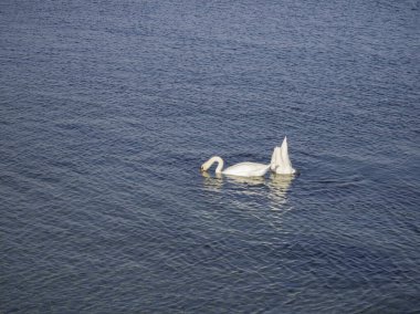 Bulgaristan 'ın Burgaz Bölgesi' nin Nessebar kentindeki Coastal caddesinden şaşırtıcı Panorama