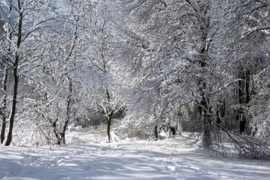 Bulgaristan 'ın Sofya kentindeki South Park' ın İnanılmaz Kış Panoraması
