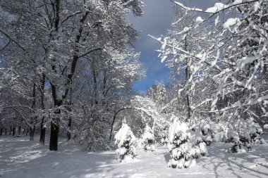 Bulgaristan 'ın Sofya kentindeki South Park' ın İnanılmaz Kış Panoraması