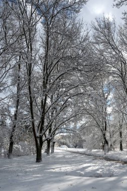 Bulgaristan 'ın Sofya kentindeki South Park' ın İnanılmaz Kış Panoraması