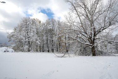 Bulgaristan 'ın Sofya kentindeki South Park' ın İnanılmaz Kış Panoraması