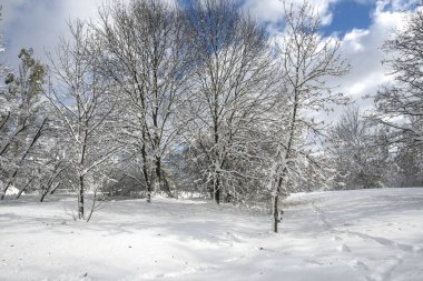 Bulgaristan 'ın Sofya kentindeki South Park' ın İnanılmaz Kış Panoraması