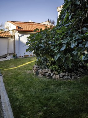 Bulgaristan 'ın Doğu Trakya kentindeki Edirne kentindeki Aziz George kilisesi