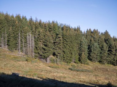 Rila Dağı 'nın Mechit yakınlarındaki muhteşem sonbahar manzarası ve Popova Kapa zirveleri, Bulgaristan