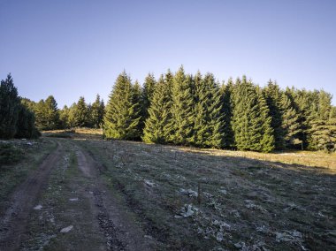 Rila Dağı 'nın Mechit yakınlarındaki muhteşem sonbahar manzarası ve Popova Kapa zirveleri, Bulgaristan