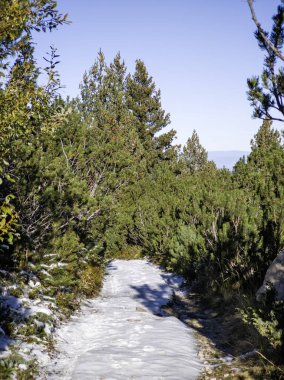 Rila Dağı 'nın Mechit yakınlarındaki muhteşem sonbahar manzarası ve Popova Kapa zirveleri, Bulgaristan