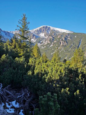 Rila Dağı 'nın Mechit yakınlarındaki muhteşem sonbahar manzarası ve Popova Kapa zirveleri, Bulgaristan