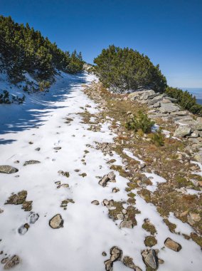 Rila Dağı 'nın Mechit yakınlarındaki muhteşem sonbahar manzarası ve Popova Kapa zirveleri, Bulgaristan