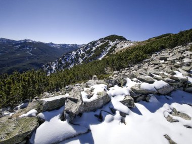 Amazing Autumn landscape of Rila Mountain near Mechit and Popova Kapa peaks, Bulgaria clipart