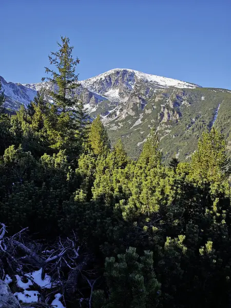 Rila Dağı 'nın Mechit yakınlarındaki muhteşem sonbahar manzarası ve Popova Kapa zirveleri, Bulgaristan