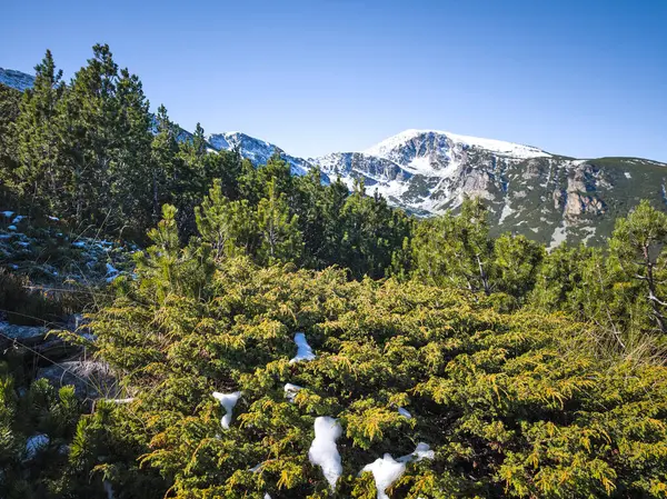 Rila Dağı 'nın Mechit yakınlarındaki muhteşem sonbahar manzarası ve Popova Kapa zirveleri, Bulgaristan