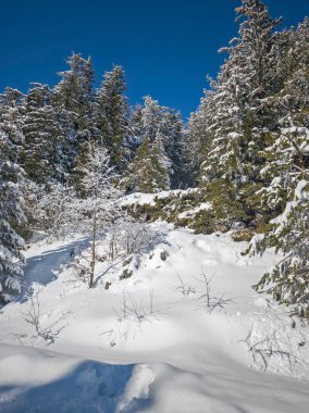 Bulgaristan 'ın Sofya Şehir Bölgesi, Vitosha Dağı' nın İnanılmaz Kış manzarası