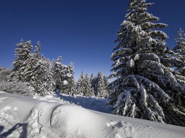 Bulgaristan 'ın Sofya Şehir Bölgesi, Vitosha Dağı' nın İnanılmaz Kış manzarası