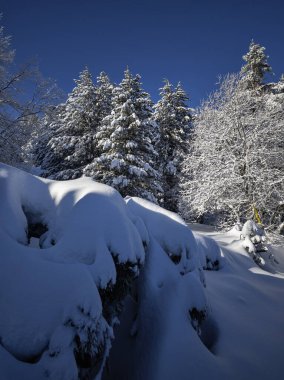 Bulgaristan 'ın Sofya Şehir Bölgesi, Vitosha Dağı' nın İnanılmaz Kış manzarası