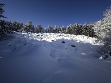 Bulgaristan 'ın Sofya Şehir Bölgesi, Vitosha Dağı' nın İnanılmaz Kış manzarası