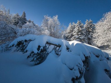 Bulgaristan 'ın Sofya Şehir Bölgesi, Vitosha Dağı' nın İnanılmaz Kış manzarası