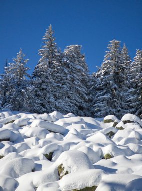 Bulgaristan 'ın Sofya Şehir Bölgesi, Vitosha Dağı' nın İnanılmaz Kış manzarası