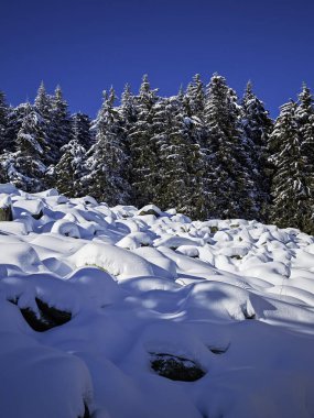 Bulgaristan 'ın Sofya Şehir Bölgesi, Vitosha Dağı' nın İnanılmaz Kış manzarası