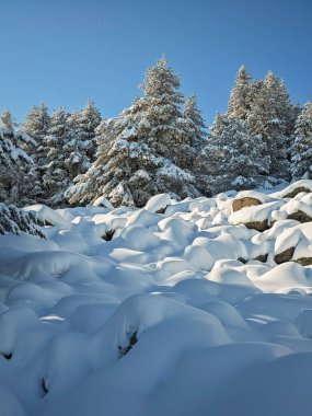 Bulgaristan 'ın Sofya Şehir Bölgesi, Vitosha Dağı' nın İnanılmaz Kış manzarası