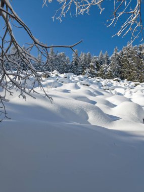 Bulgaristan 'ın Sofya Şehir Bölgesi, Vitosha Dağı' nın İnanılmaz Kış manzarası